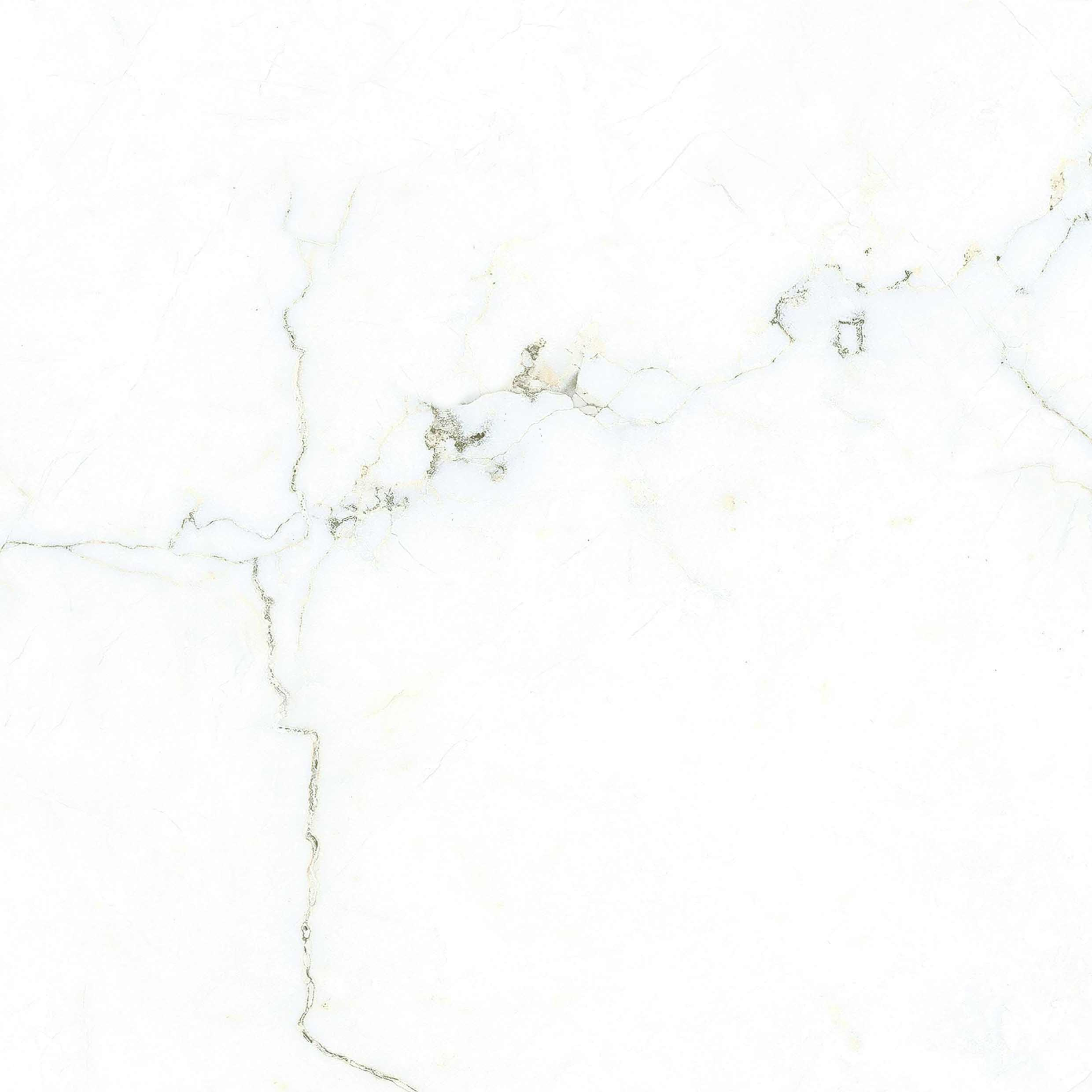 Bianco Venato