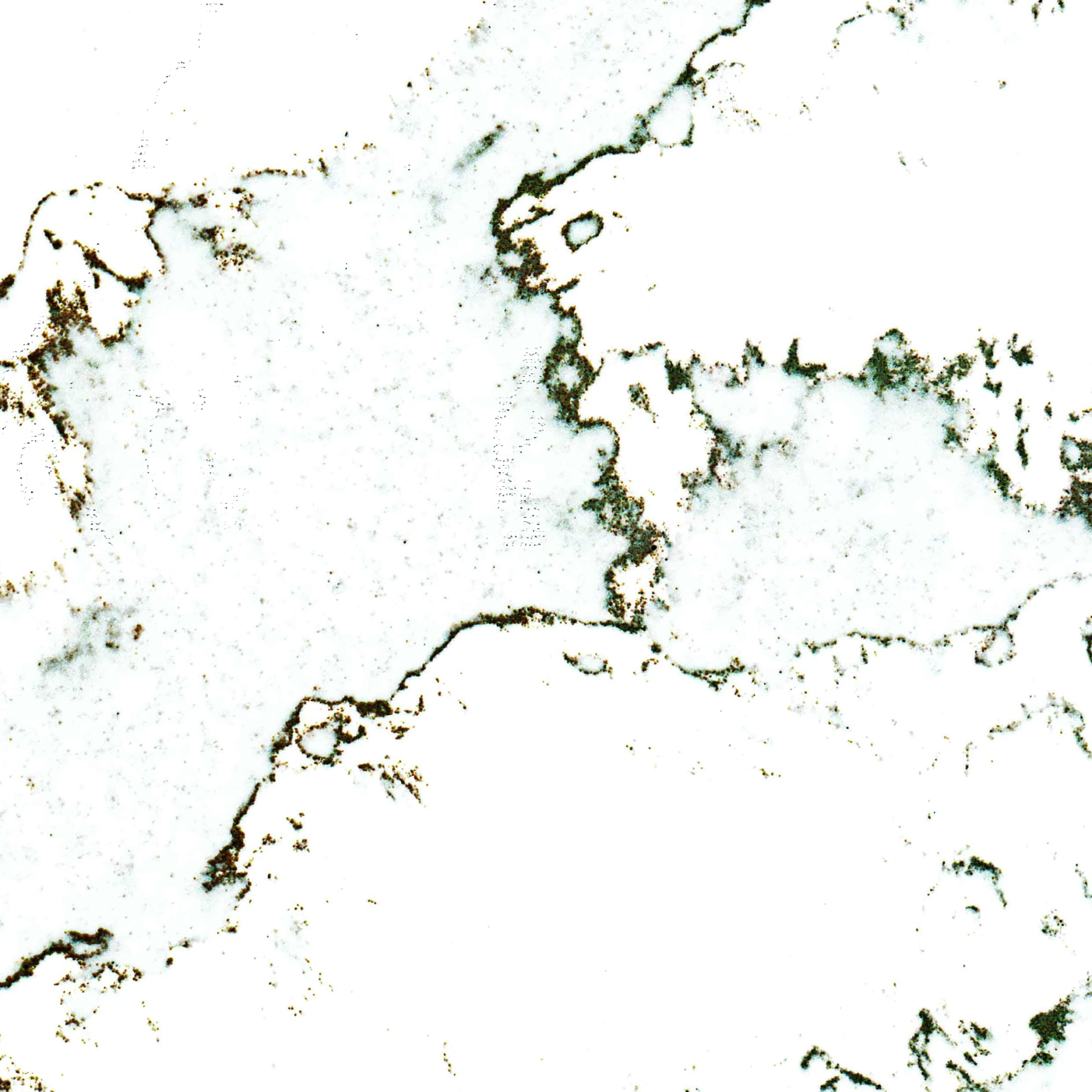 Calacatta Volegno