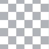 Checkered Slacks