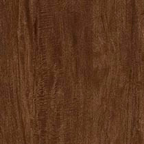 Java  Mahogany