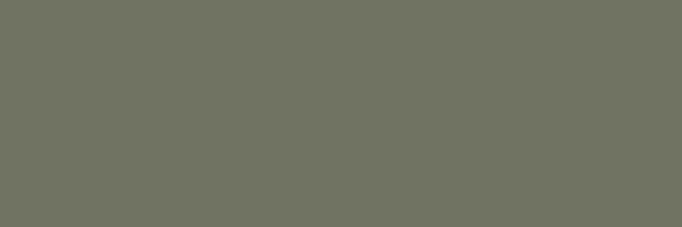 Spruce Velvet 15518 Laminate Countertops