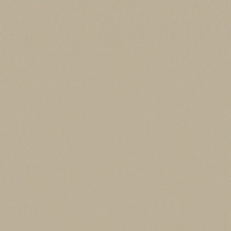 Sand Dune