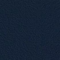 Midnight Blue
