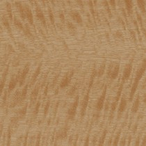 Golden Satinwood