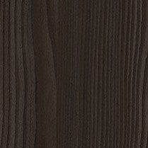 European Larch