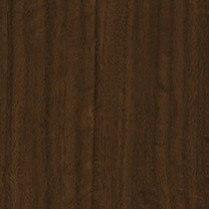 Brown Eucalyptus