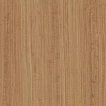 Amber Eucalyptus