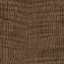 Plantation Sycamore