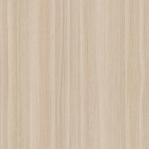 American Chestnut