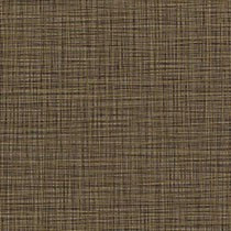 Bronze Haze Linea