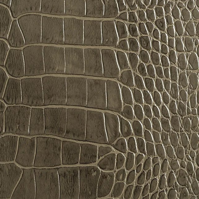 Antique Grey Crocodile