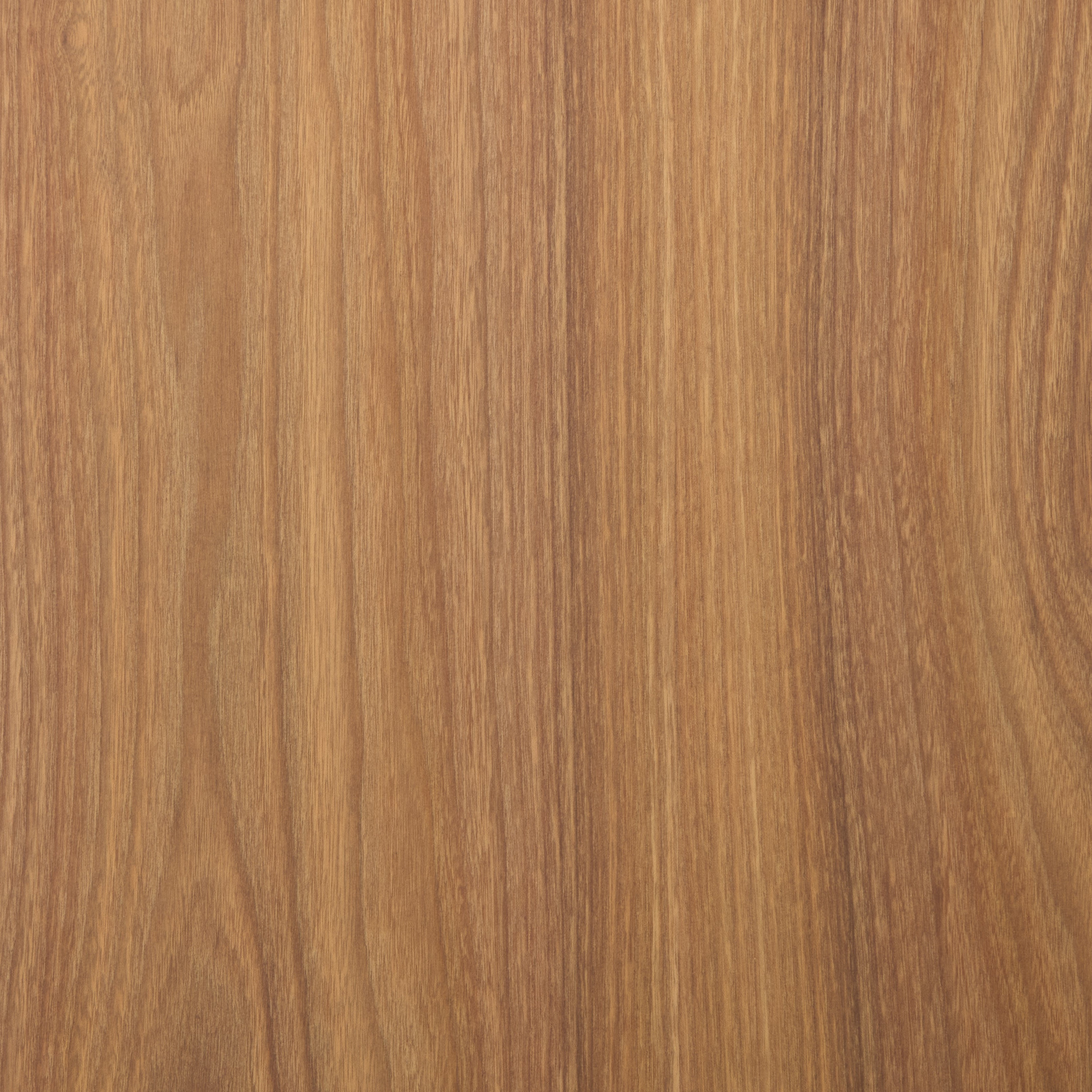Golden Elm