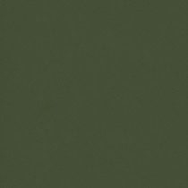 Fern Green