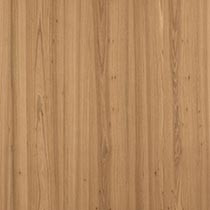Amber Elm