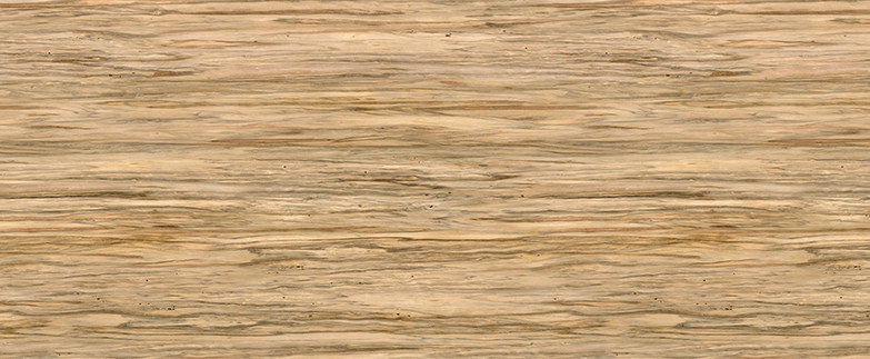 Raw Eucalyptus Y0559 Laminate Countertops