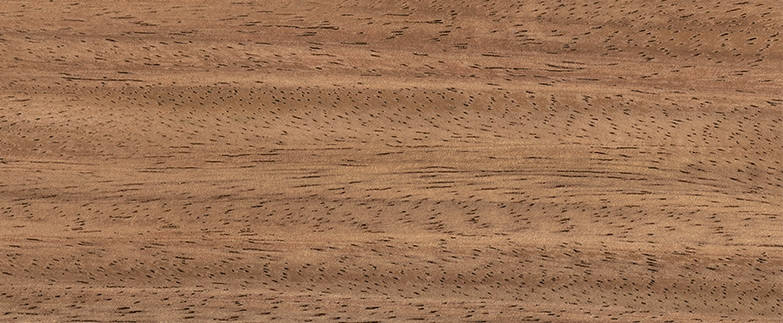 Monkeypod Wood Y0652 Laminate Countertops