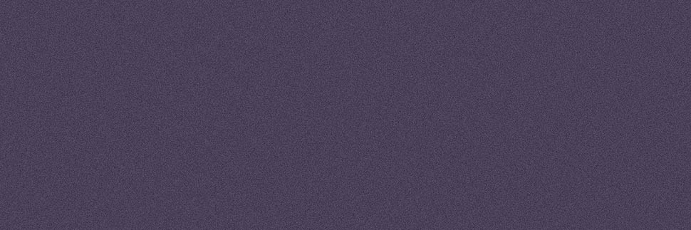 Palace Y0838 Laminate Countertops