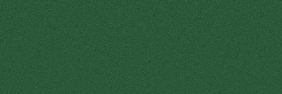 Mistletoe Y0841 Laminate Countertops