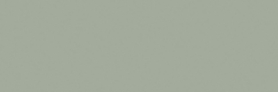 Prickly Pear Y0859 Laminate Countertops