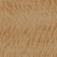 Golden Satinwood