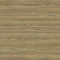 Cypress Cinnamon