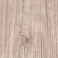 Capitol Pine