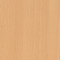 Global Beech