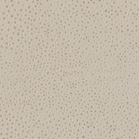 White Shagreen