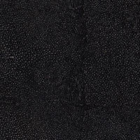 Black Knight Shagreen