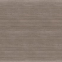 5th Avenue Elm