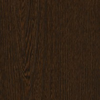 American Elm