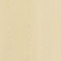 Blond Sycamore
