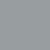 Gris Absolu