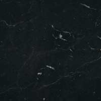 Marble Noir
