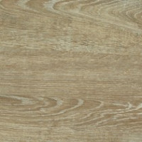 Mondego Oak