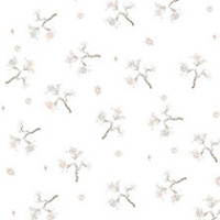 White Compre
