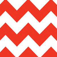 Salsa Chevron