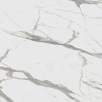 Calacatta Statuario - Pro Design Panel Sample