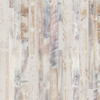 Chalky Pine