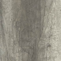 Driftwood