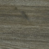 Black Oak