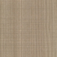 Park Elm