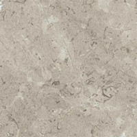 Sand Lightning Fossil