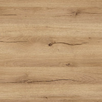 Ashdown Oak