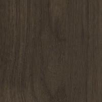 Entranced Black Oak