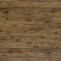 Walnut Appalaches
