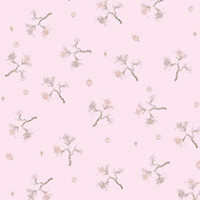 Pink Compre