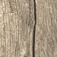 Rediscovered Oak