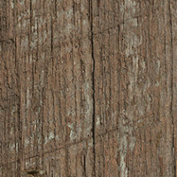 Revived Oak
