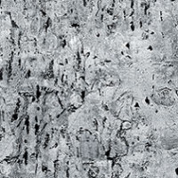Slate Birch